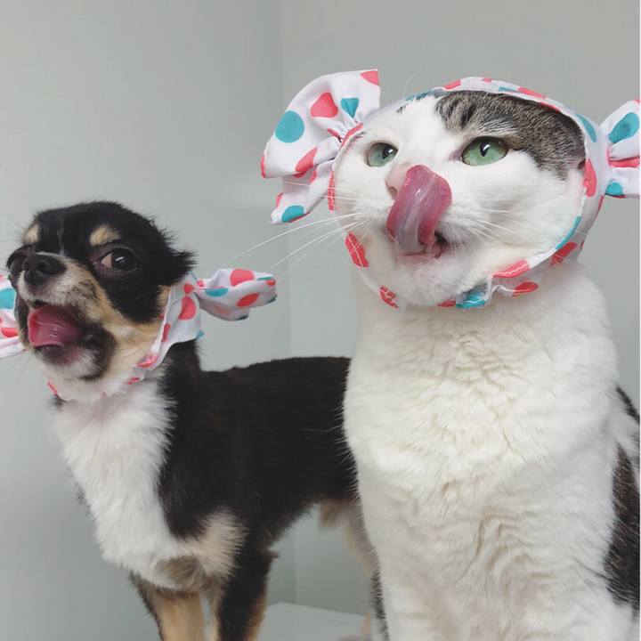 26f56a59 3736 4c9e b2ee 3b80fc5078ce 1531264896180