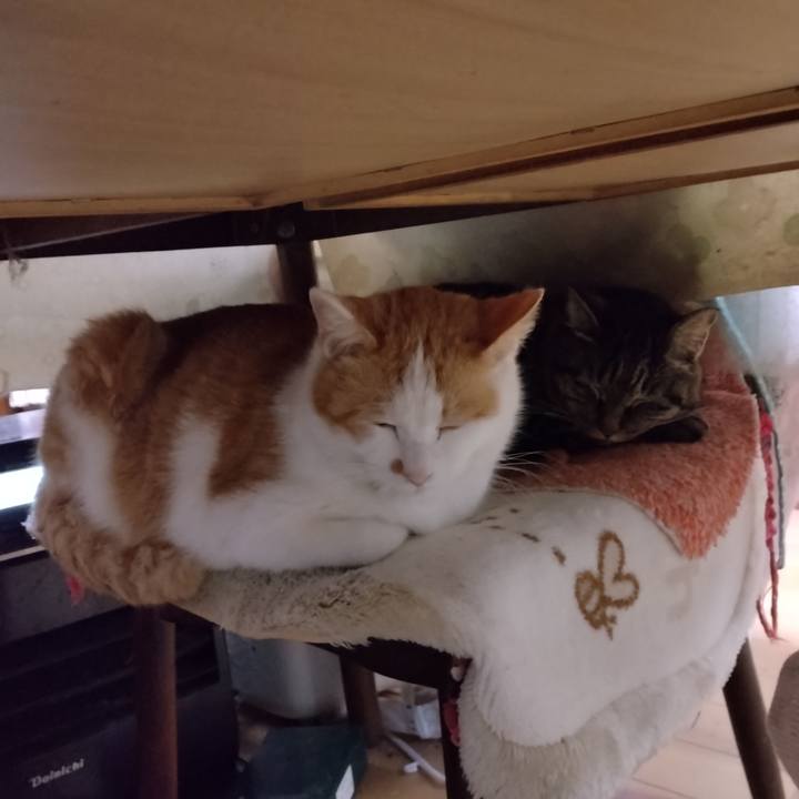 26f572b6 bb24 4f2a 9317 f1068fbdb308 1773548874542