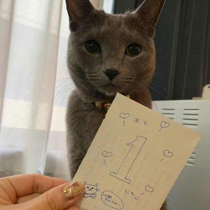 26f5a1ba cd93 4fab b138 454d5694b539 1644792786589