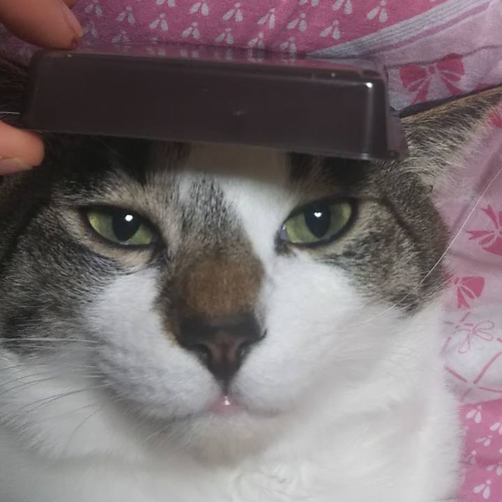 26f5d644 f5ea 4728 90f8 b1a8e5e6d366 1614345509661