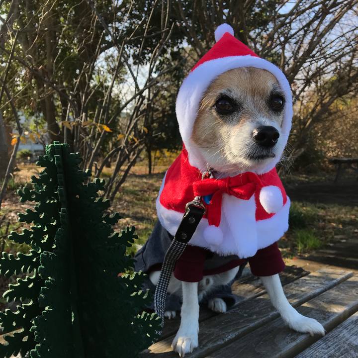 26f5e901 cbd0 4c90 81a5 6ade619e6ba8 1577153387805