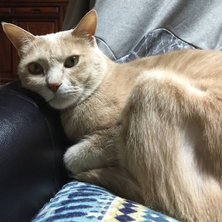 26f5fea7 4ba0 490c 9518 ce224799d972 1575450559820