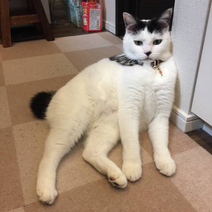 26f61364 f2df 456d a228 b6689557a520 1511307468403