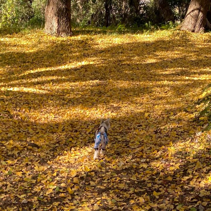 26f69feb 0c3b 4494 bc49 0e2528b6e567 1605944826714