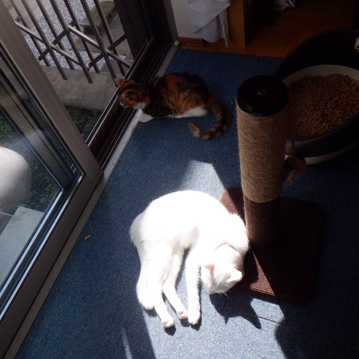 26f6a94b bea6 418d 829a 609a38e9faac 1633656864993