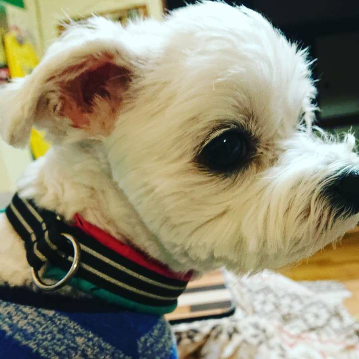 26f6d41c e695 4da5 b8e7 a9c51e079809 1572607285516