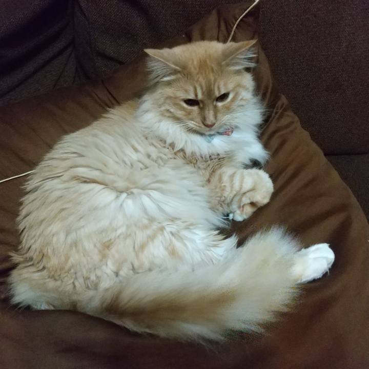 26f6fc49 d238 4fd5 84e1 4c9c6a2e521e 1651929698158