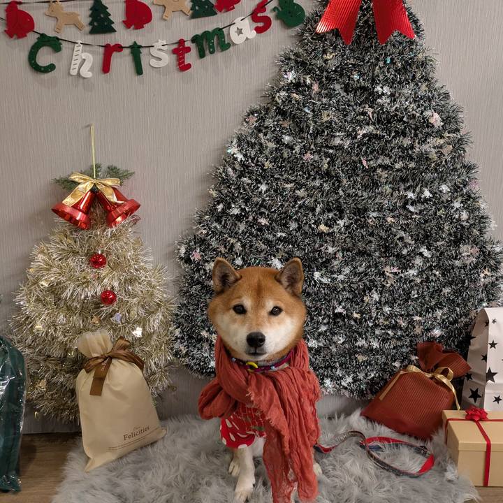 26f705b8 c0ee 4eea a5ee fc3cd22e05b9 1734621423713