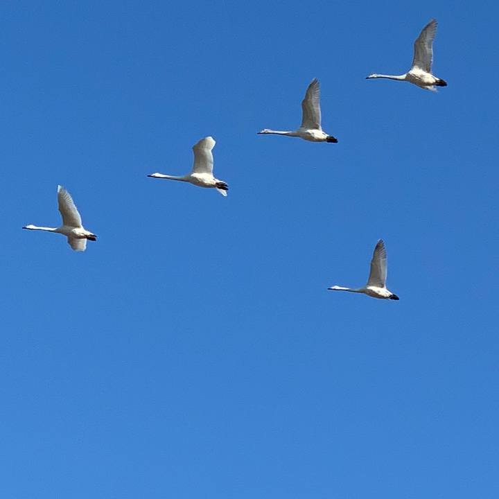 26f70b6c 181c 47c5 a292 581a5a83e6cd 1582500985577