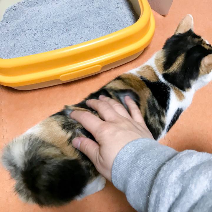 26f70f58 dfd3 4edd a214 b0e8b55ce59b 1515023745904