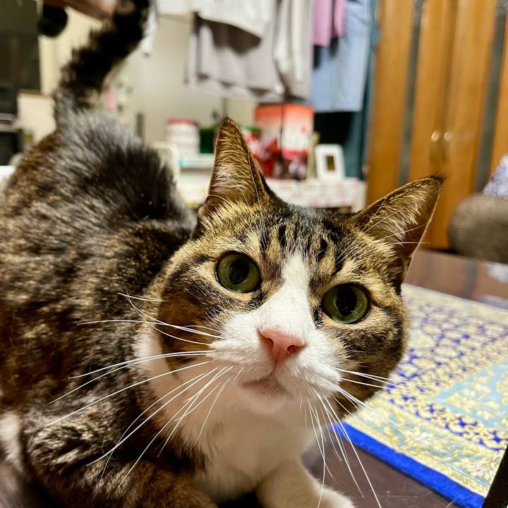 26f72ed4 63da 4918 926c 32dfd9c925a4 1743255693591