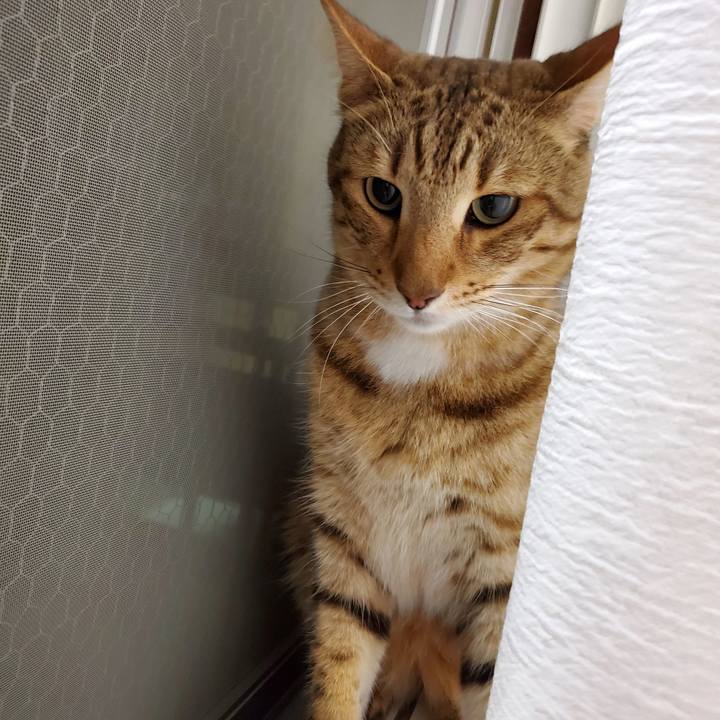 26f79abe 01aa 49a5 9625 c1f6ebc6f862 1695038863383