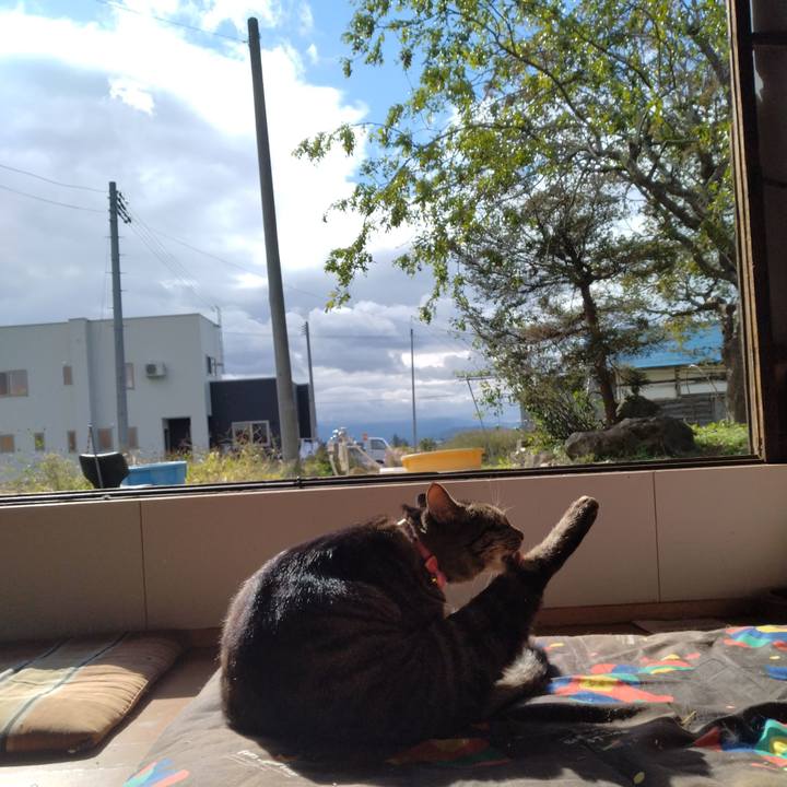 26f7ed08 c130 4b18 aa8e 6630d6286be0 1666226797965