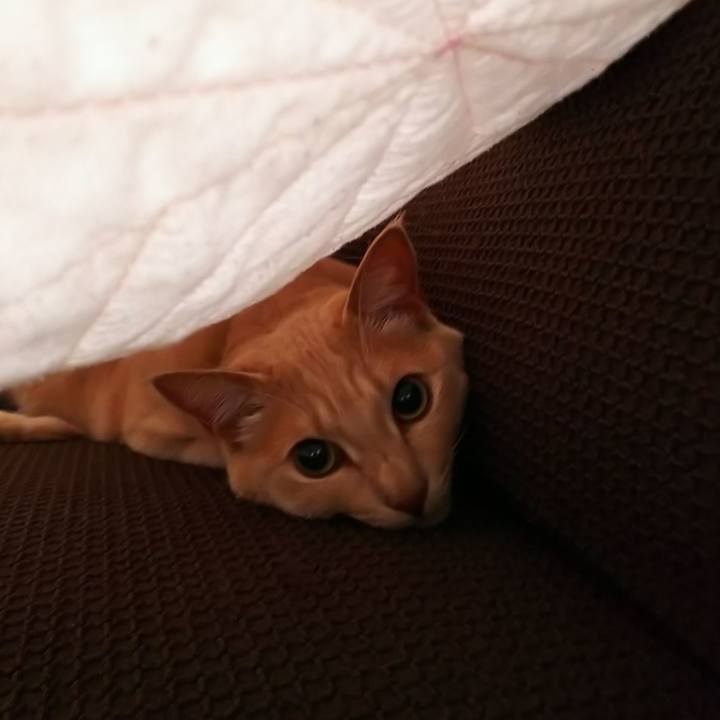 26f83053 15f3 4622 8ac3 b47d356738f8 1593463685755