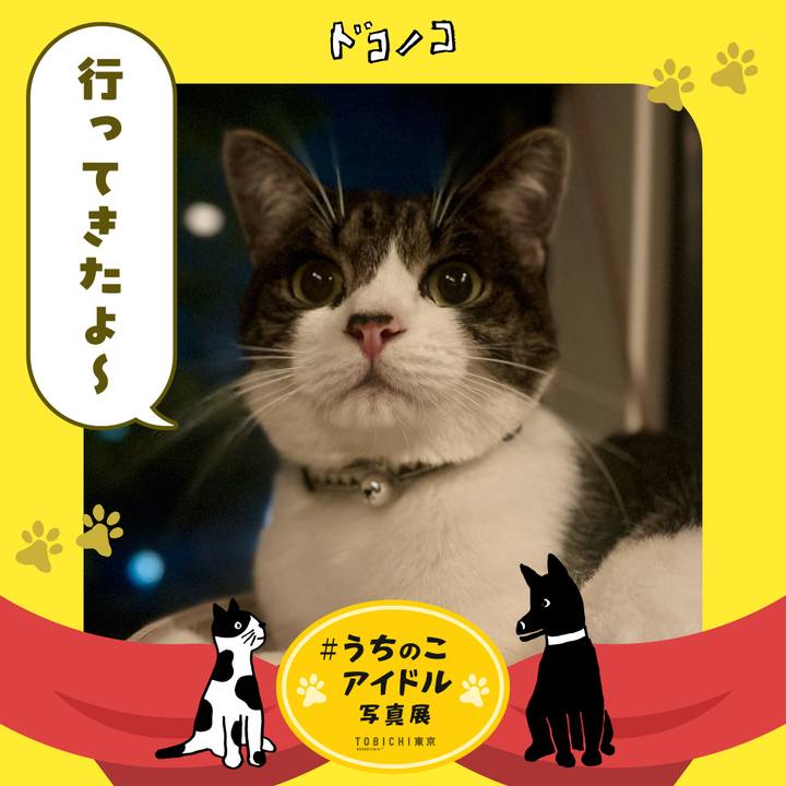 26f8516c 5ba4 4a6a 8388 67534b2ffad2 1761315870168