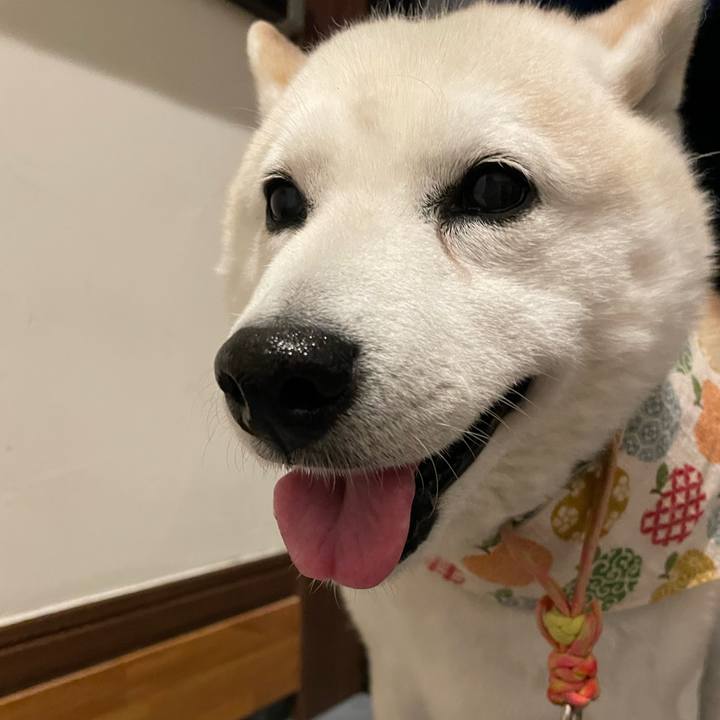 26f85681 1738 4274 94a8 026091ef5b0e 1653745649725