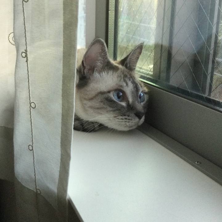 26f864a6 d4c2 40f9 af31 d5385c137519 1690716007408