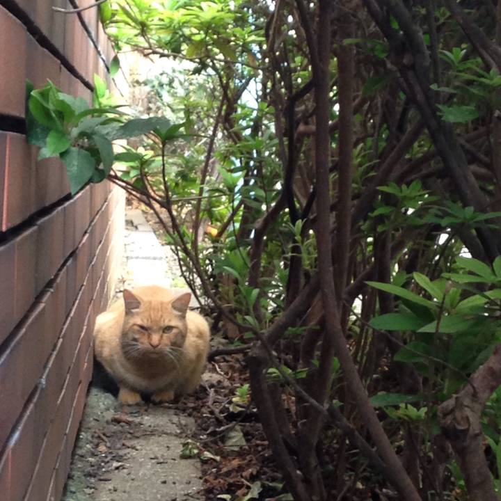 26f87162 102f 4120 9bbd 5f18a8c8f54e 1509810245348