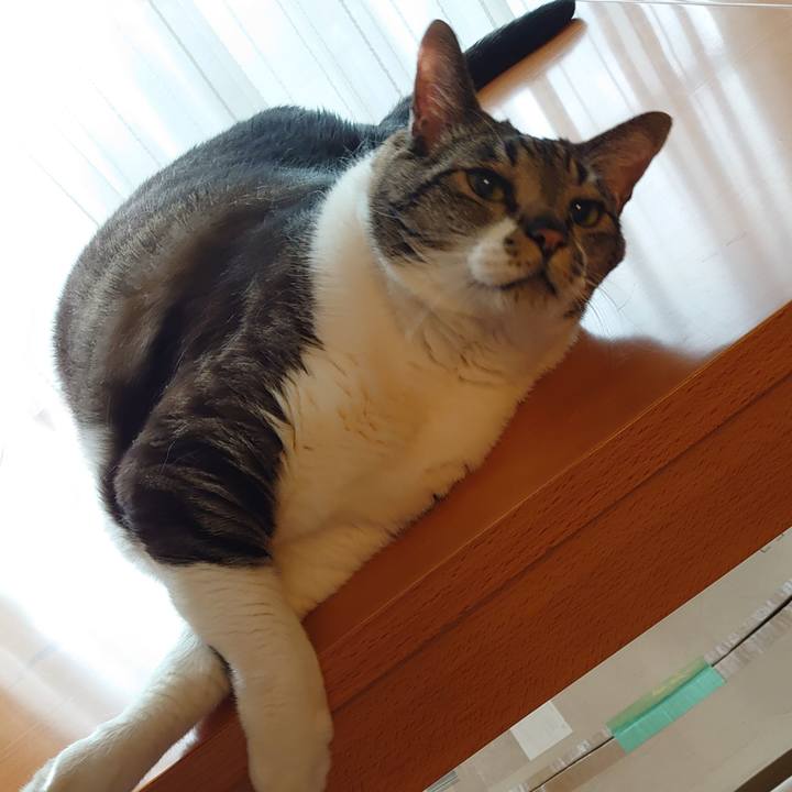 26f89653 5d61 4a4a a074 ccedf0b269d5 1652401204184