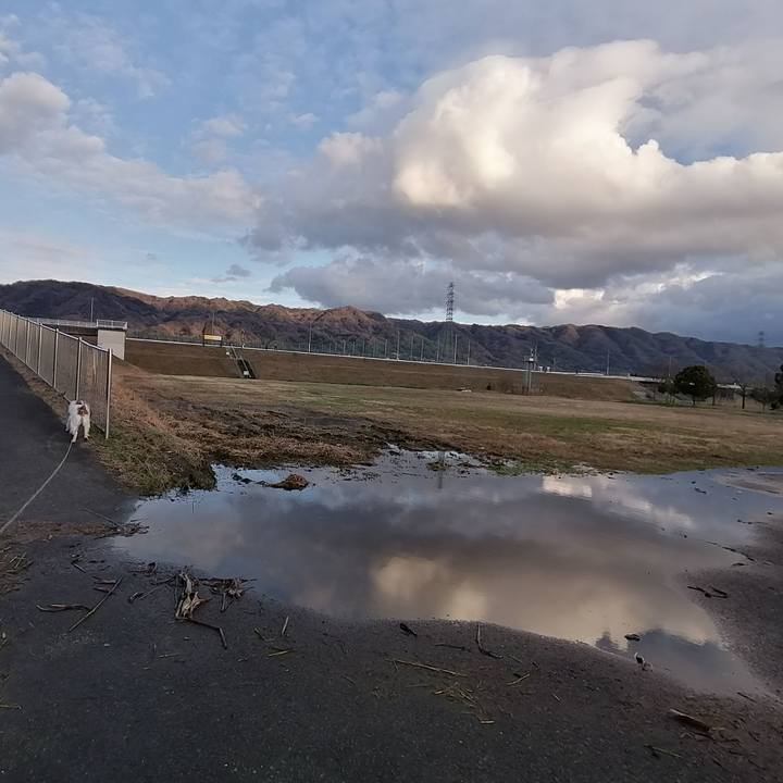 26f8a083 c396 4c18 8b18 f5cd96835d46 1582015692130