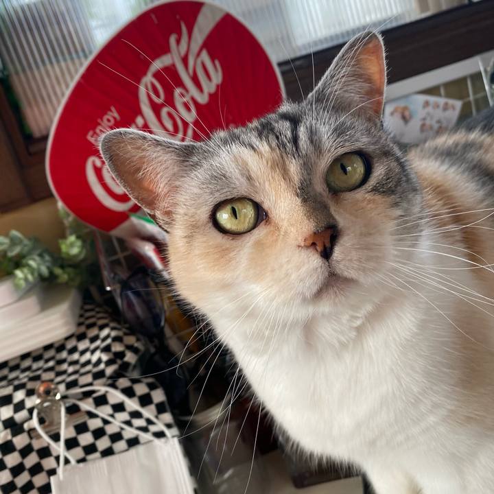 26f8c0b2 a75b 4c68 bce4 5f9466f065fa 1624624442613