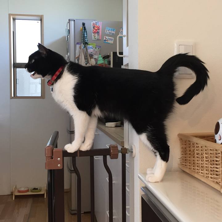 26f8e337 6da9 440d bba5 0d10fe5e3fa0 1527138588806