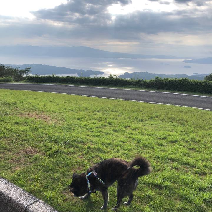 26f8f391 e5a3 44db a8c7 4e9c3dd99e8b 1692166745211