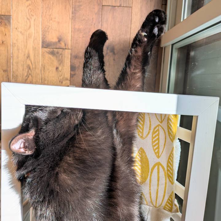 26f8f774 b8ee 4b6d b20c 845ccc78a40f 1763088707452