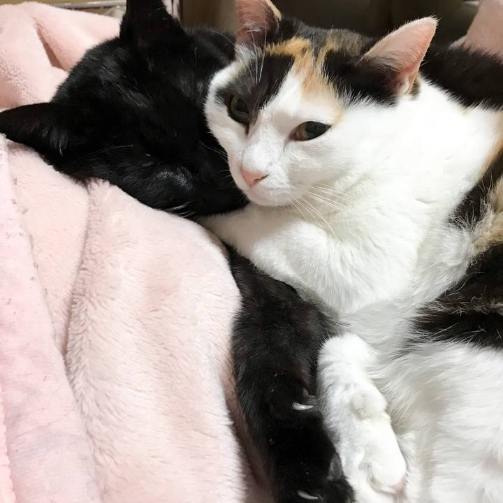 26f93a2a 7b72 451e 9f6f 38719ec74e77 1527260947165