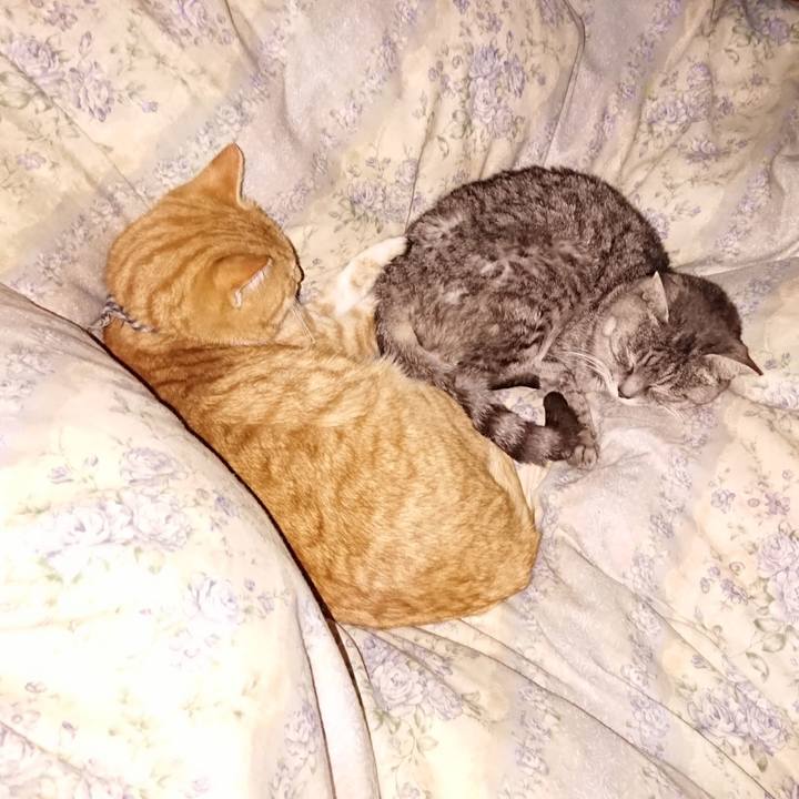 26f94d25 dd41 4fca 81de 2e991f6cfa18 1575730020912