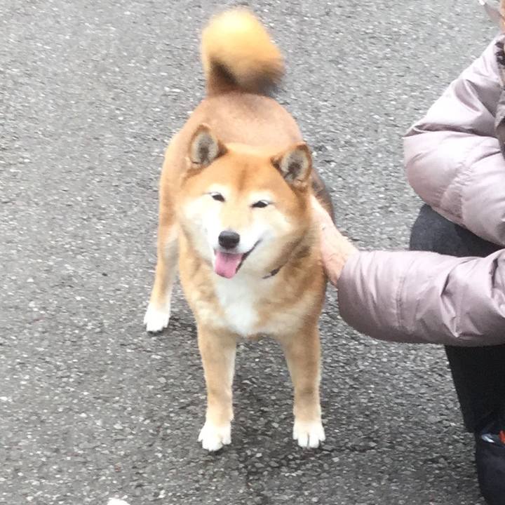 26f97315 0336 439e 8bea ae47d3dbe0cc 1551853113357