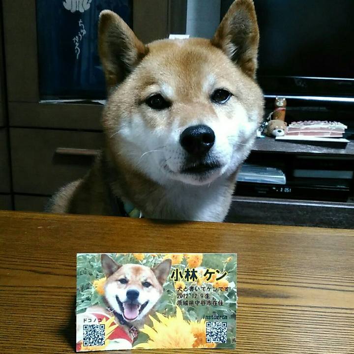 26f9984e 4535 43b6 b8b1 0e93897e8e07 1558680284430