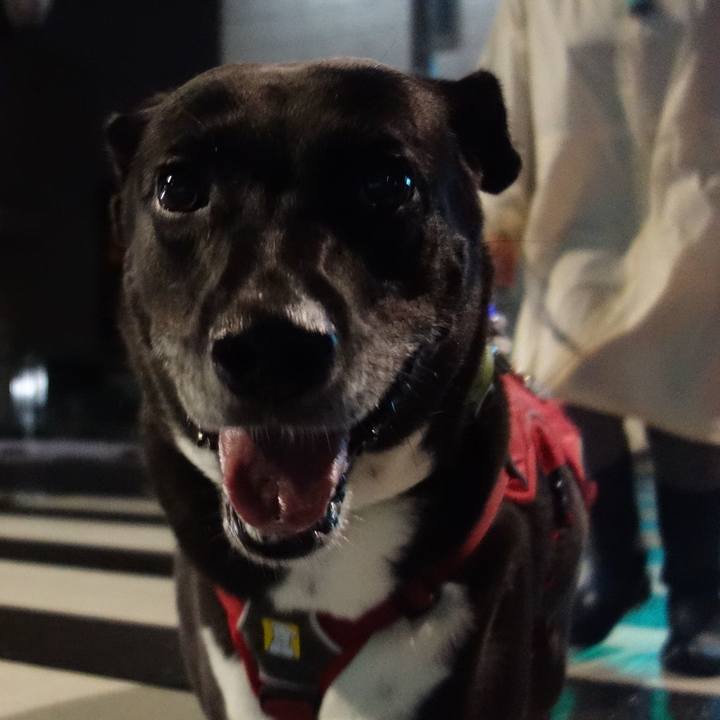 26f9a7b5 4a57 4e2c 8523 f39f074e3057 1665657632493