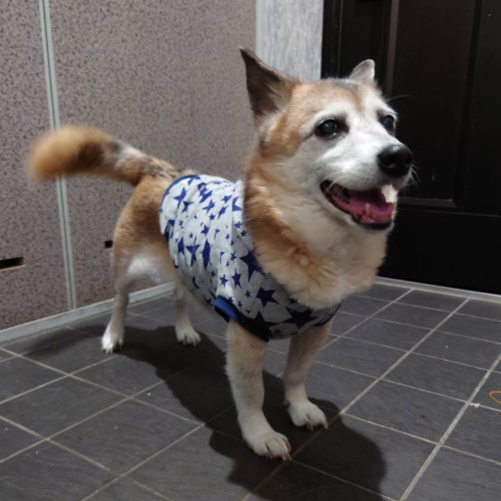 26f9b71d 00b8 4927 9464 eda2cff9ccbe 1712214517209