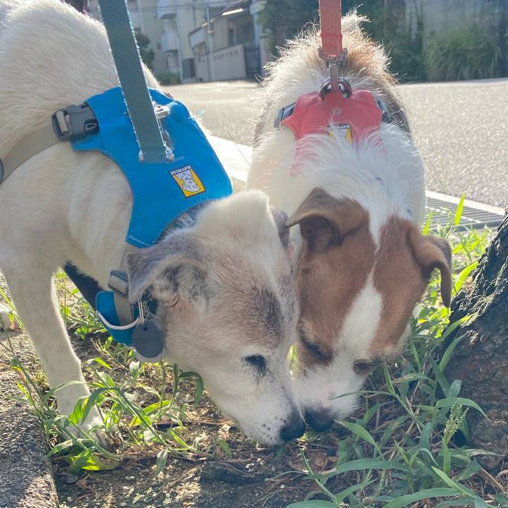 26f9f5c8 e8a7 4ffe 97b0 7f38ea288f32 1727059603566