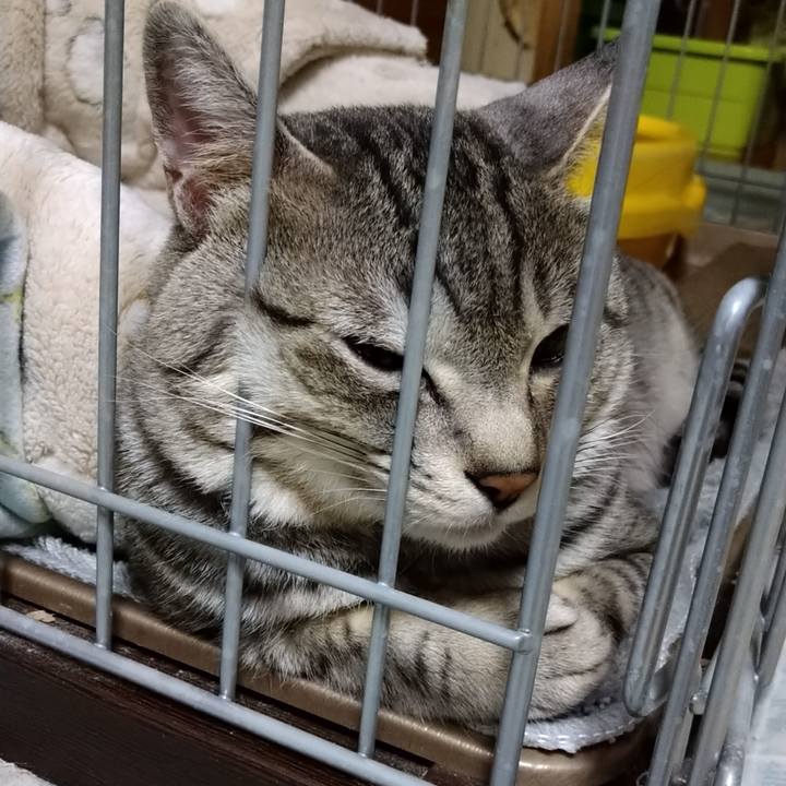 26fa4419 a08e 4755 bb7c 8b6d6ee2be43 1651420407649