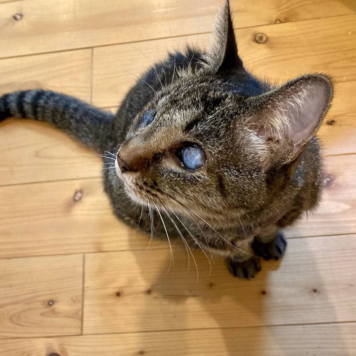 26fa8b51 6ec4 4e7d 8adf 8e7f089c460b 1633773093640