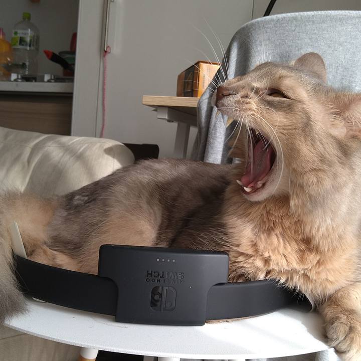 26fabcab 96b9 4a52 b784 1c7deaebb2da 1602511146854