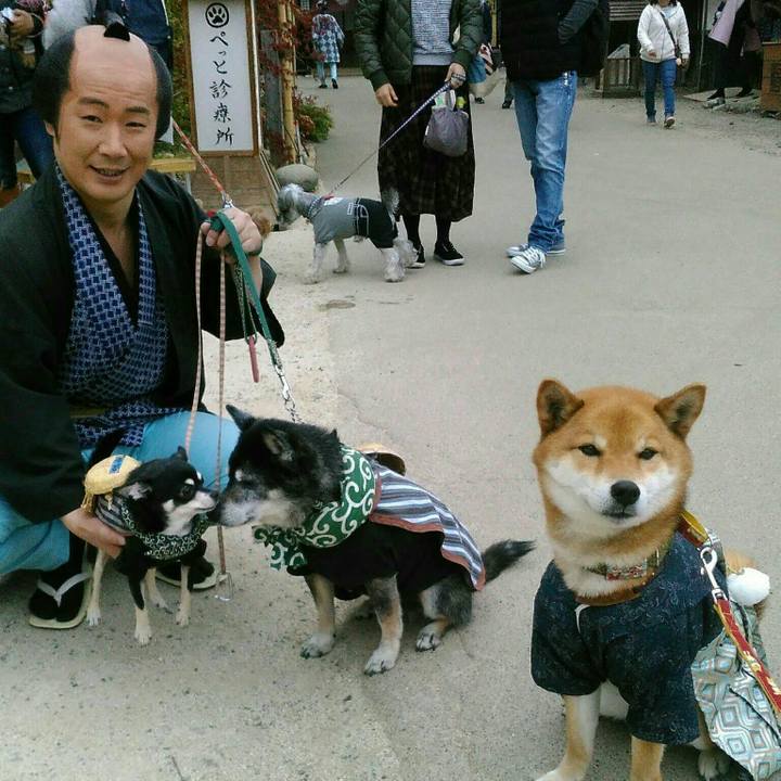 26fac4c4 8db6 4e7c a767 233127acc848 1523743667562