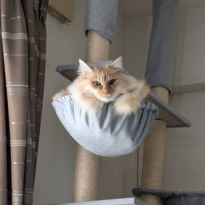 26fadf14 4b77 4580 a1b5 0c8ffd91db50 1742531935549