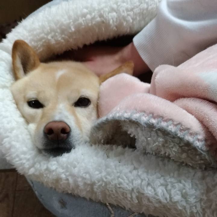 26fae3b8 e2c1 4c2a 978b 4dce0399581f 1602916642225