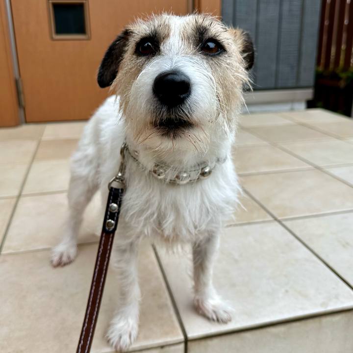 26fb581b 5e7d 41a9 a2ad 3013a743c003 1745466998475