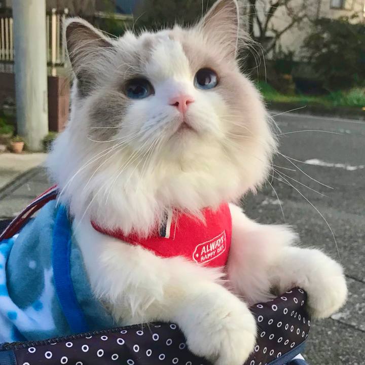 26fb846a 3862 451b 84a6 d8a42b24d1f2 1635201110454