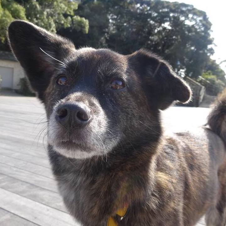 26fb8482 0795 4a0c 9d22 764323641f25 1521364035921