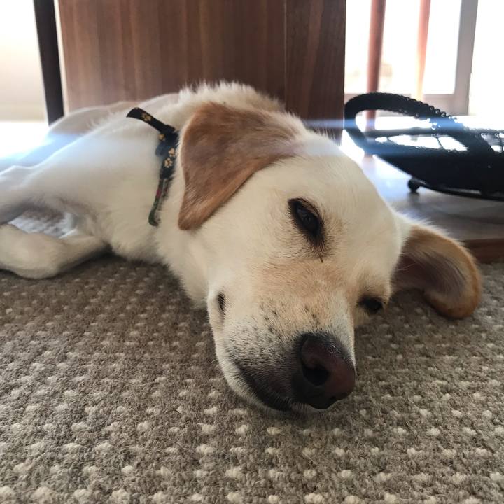 26fb8c65 64ba 4e7b 8795 7a41103fe67e 1570941429454