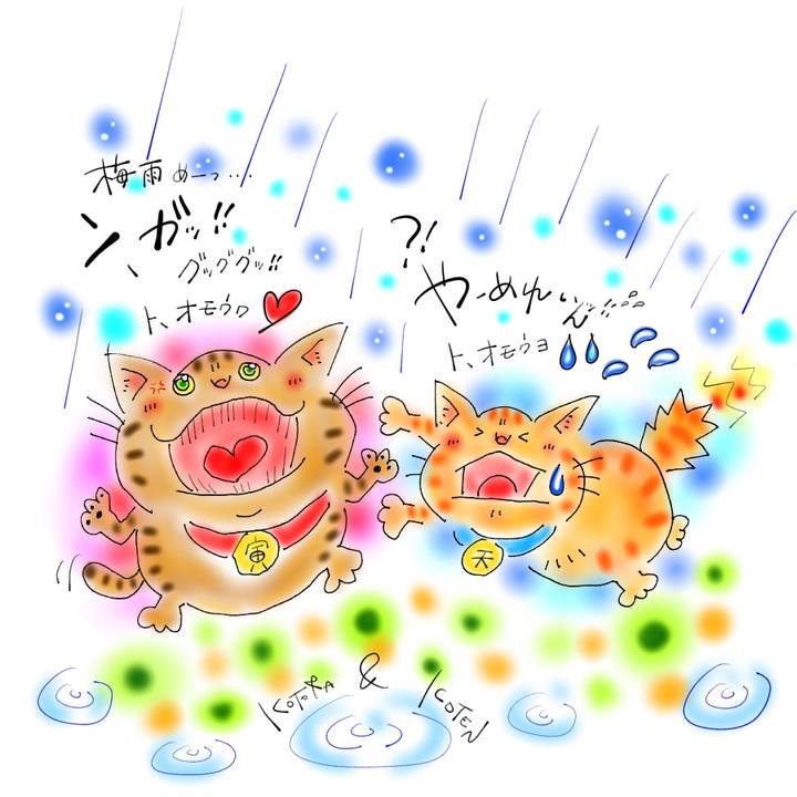 26fb9f3d 1d98 4b7e 9c33 cc8e2d510c0e 1621292461743