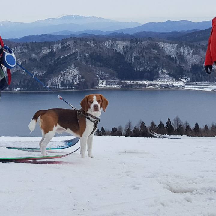 26fba7e0 18ce 4975 b355 71d56becd90a 1579940746307