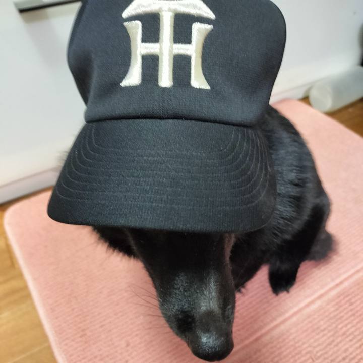 26fbb63d ff17 4c6e 8600 f49d1b92d996 1694727566905