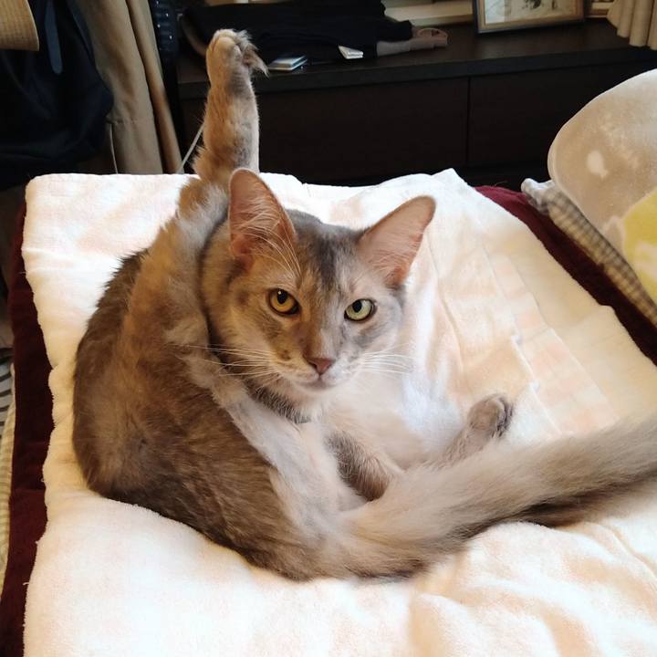 26fbde03 67bc 434a 8825 67b29ae7a794 1624952424246