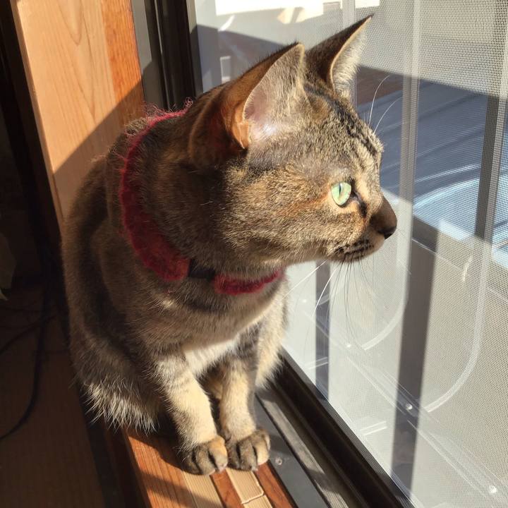 26fc0c93 5c3a 422f afa7 f5aec89e5d4e 1612487676024